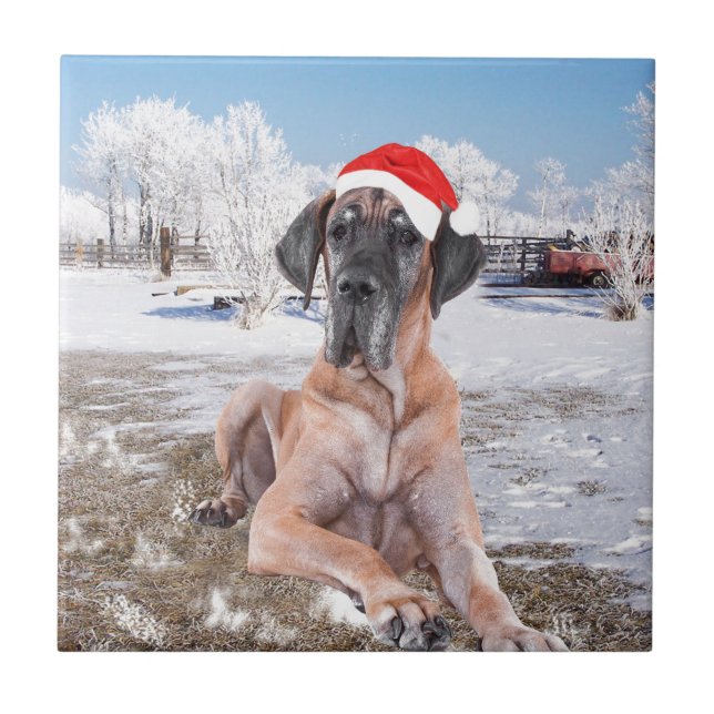 Gran Perro De Azulejos Sentado En Gorra De Navidad (Frente)