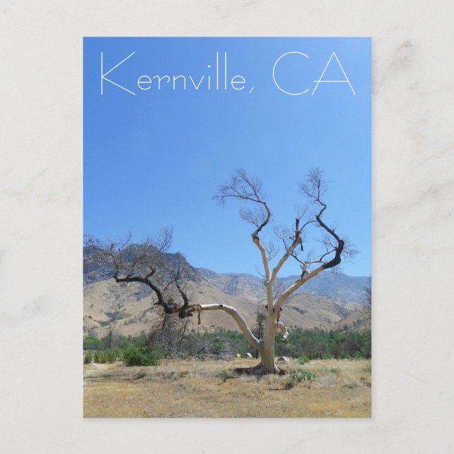 ¡Gran postal de Kernville! (Anverso)