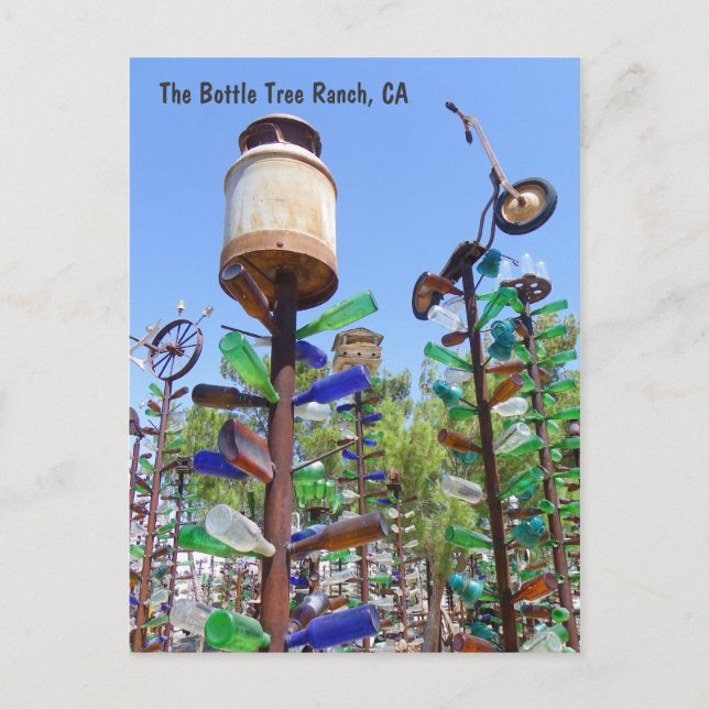 ¡Gran Postal de Rancho de Árbol de Botellas! (Anverso)