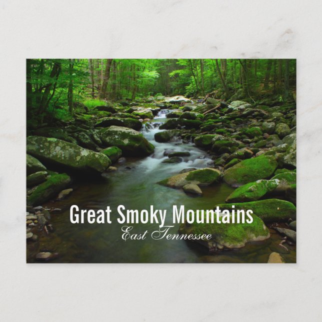 Gran postal del río Smoky Mountains (Anverso)