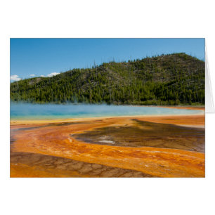 Gran Primavera Primaria Yellowstone