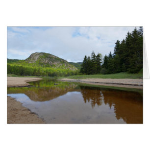 Gran reflexión de la cabeza en Sand Beach