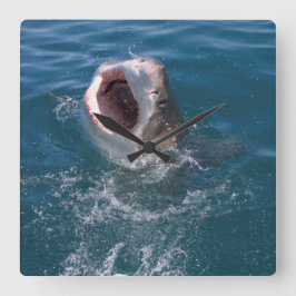 Gran reloj de tiburón blanco