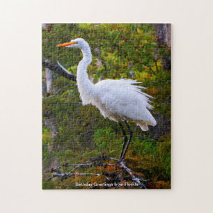 Gran rompecabezas de Egret Blanco Florida Jigsaw