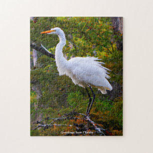 Gran rompecabezas de Egret Blanco Florida Jigsaw