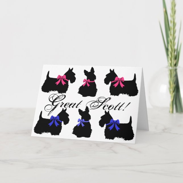 "¡Gran Scott!", tarjeta en blanco Scottish Terrier (Anverso)