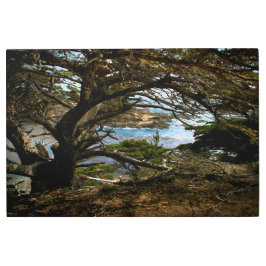 GRAN SUR Arte Pared Metalizado