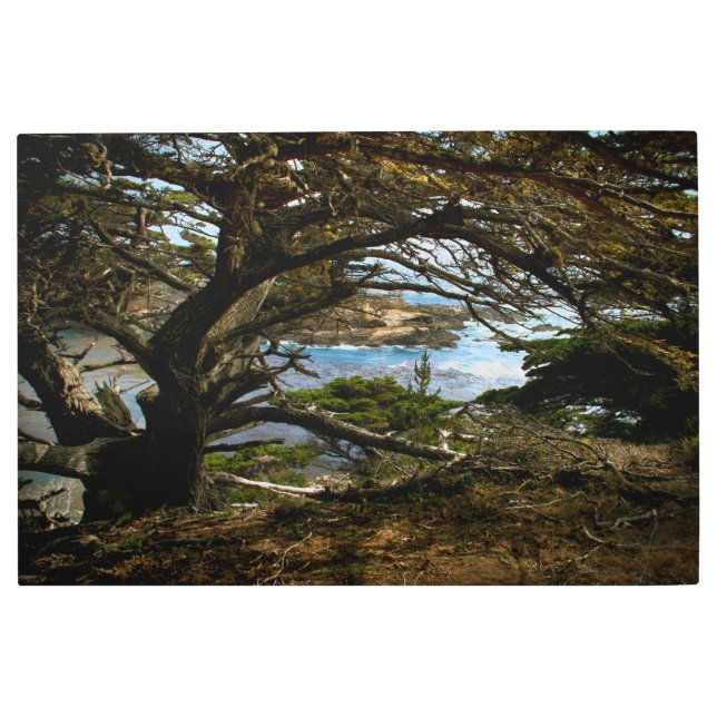 GRAN SUR Arte Pared Metalizado (Anverso)