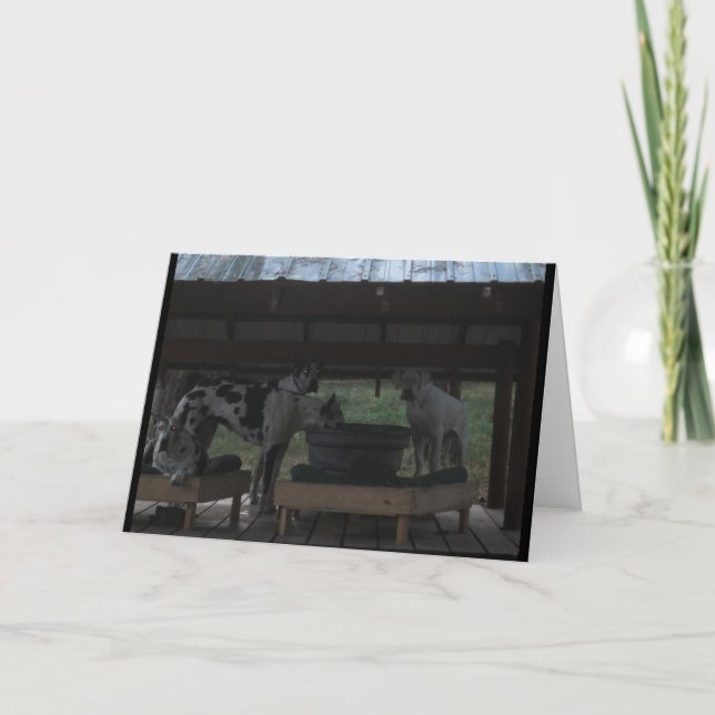 Gran tarjeta Dane Halloween (Anverso)