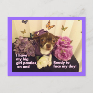 Gran tarjeta de chica Panties Chihuahua
