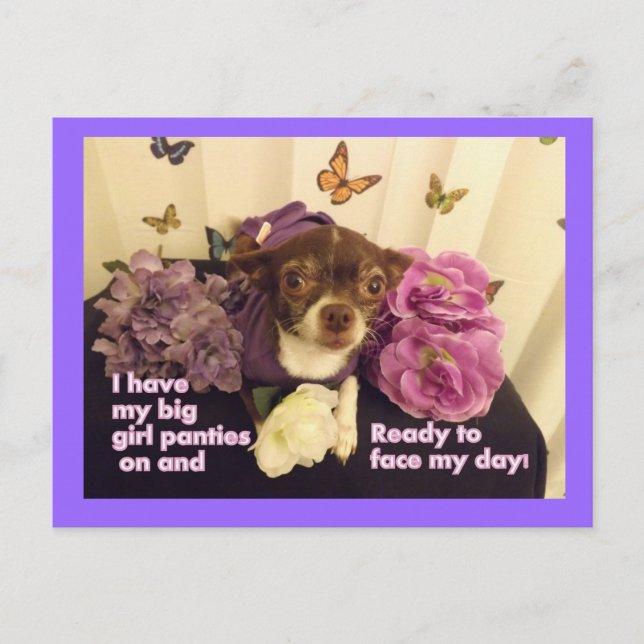 Gran tarjeta de chica Panties Chihuahua (Anverso)