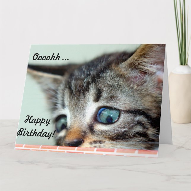 Gran tarjeta de cumpleaños Cute Kitten dice feliz  (Anverso)