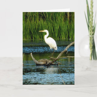 Gran tarjeta de felicitación Egret Blanco (en blan