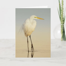 Gran tarjeta de felicitación Egret Walking
