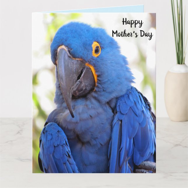 Gran tarjeta de felicitación plegada en el Día de  (Anverso)