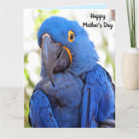 Gran tarjeta de felicitación plegada en el Día de 