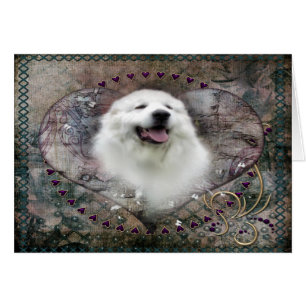 Gran tarjeta de los Pirineos - "Bella Benny"