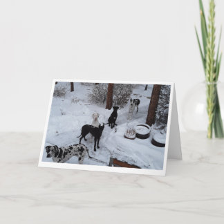 Gran tarjeta de Navidades dane