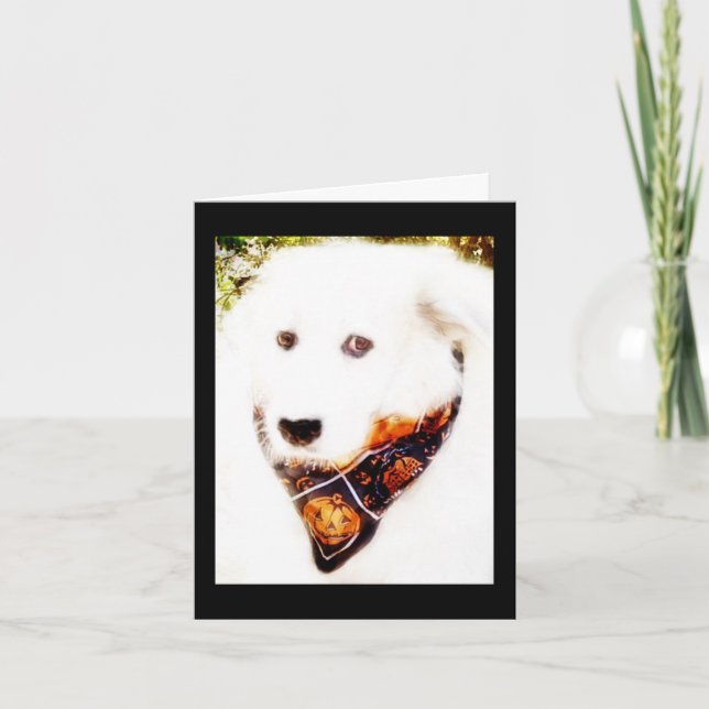 Gran tarjeta Pyr Halloween (Anverso)