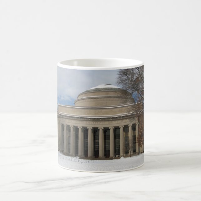Gran taza de la bóveda del MIT (invierno) (Centro)