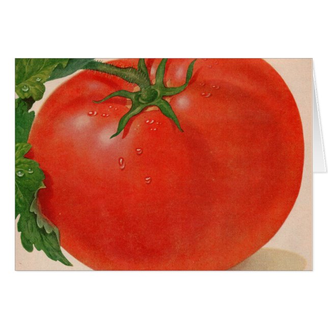 gran tomate jugoso (Anverso (Horizontal))