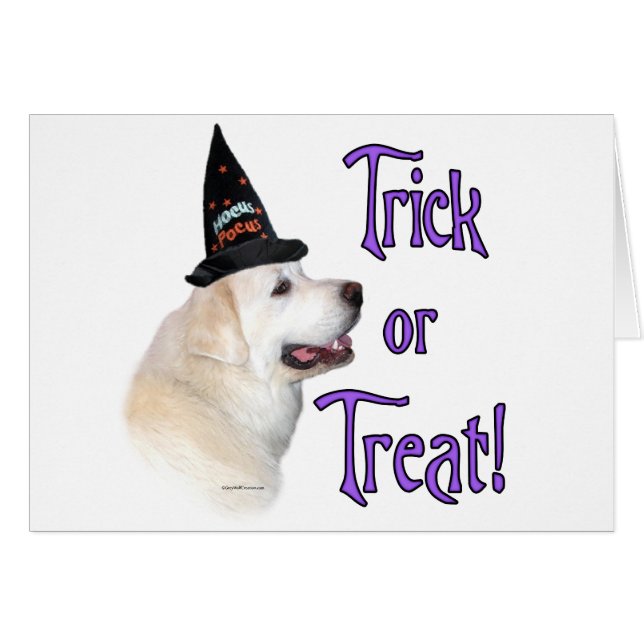 Gran Trampa de los Pirineos (Anverso (Horizontal))