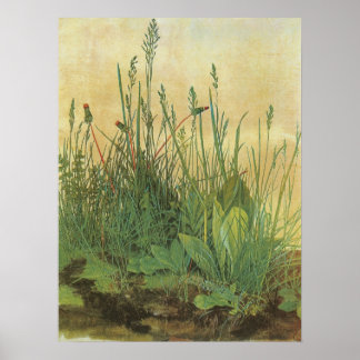 Gran trozo de turba de Albrecht Durer, arte vintag