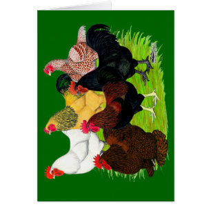 Gran variedad de gallos