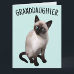 GRANDDAUGHTER SIAMESE CAT BIRTHDAY Tarjeta de feli<br><div class="desc">TARJETA DE CUMPLEAÑOS DE LA NIETA SIAMÉS</div>