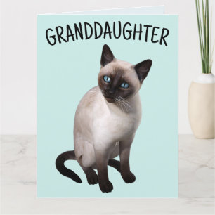 GRANDDAUGHTER SIAMESE CAT BIRTHDAY Tarjeta de feli