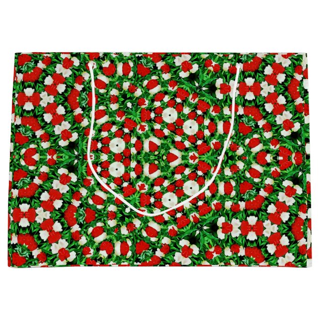 Grande Bolsa de Regalo (Anverso)