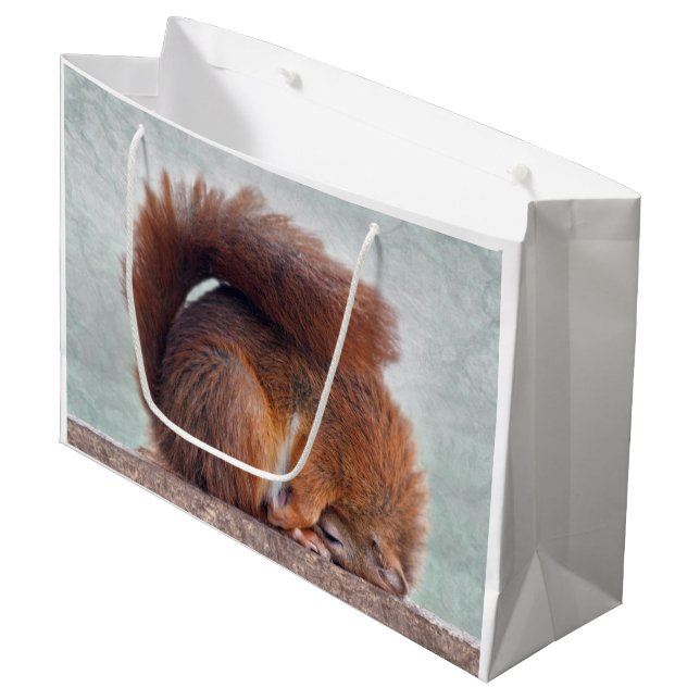 Grande Bolsa de regalo de ardilla loto (Angulo Anverso)