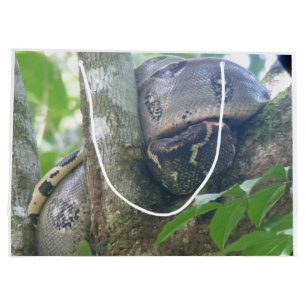 Grande Bolsa de regalo de Boa Constrictor