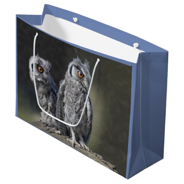 Grande Bolsa de regalo de búhos bebés (Angulo Anverso)