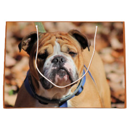 Grande Bolsa de regalo de Bulldog de Buddy