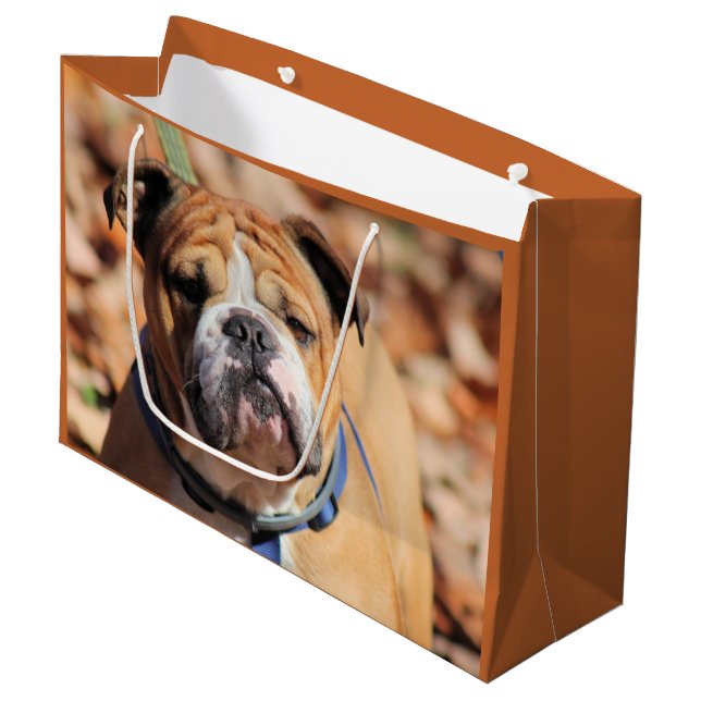 Grande Bolsa de regalo de Bulldog de Buddy (Angulo Anverso)