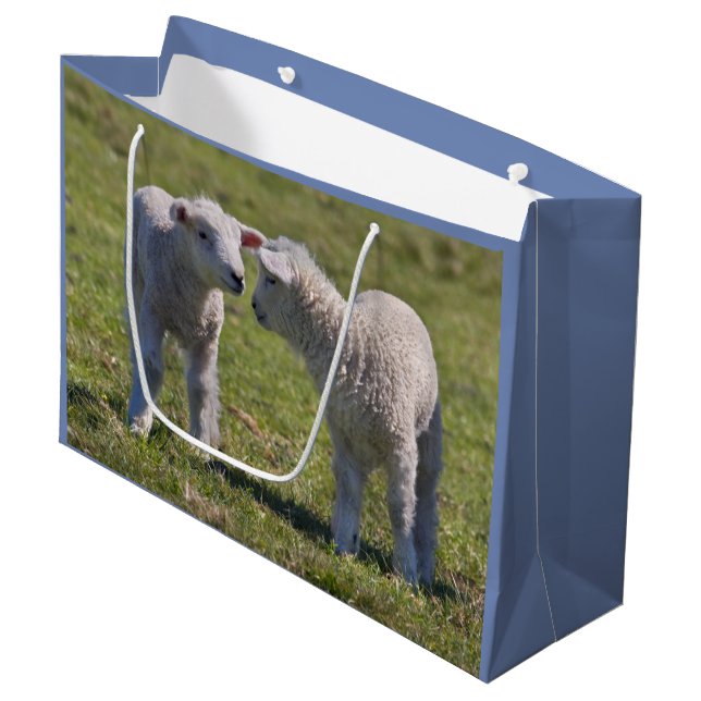 Grande Bolsa de regalo de corderos de primavera (Angulo Anverso)