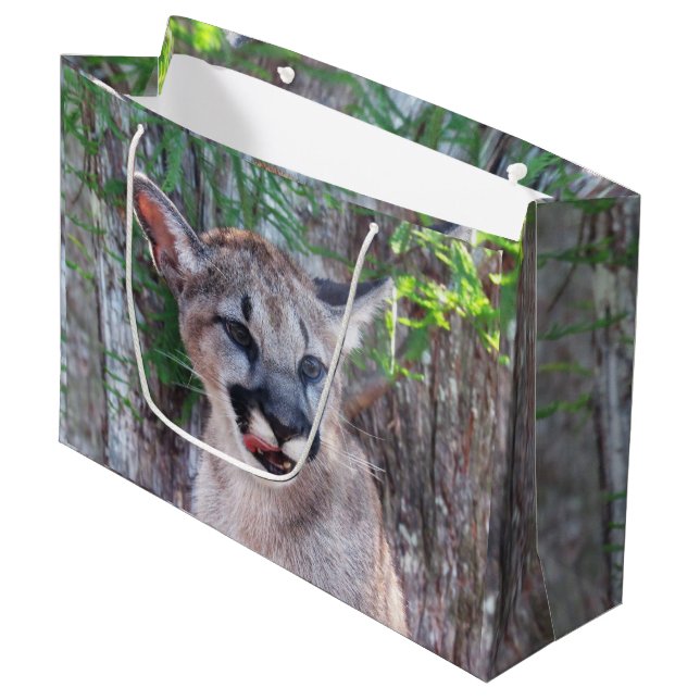 Grande Bolsa de regalo de gran tamaño Cougar Cub (Angulo Anverso)