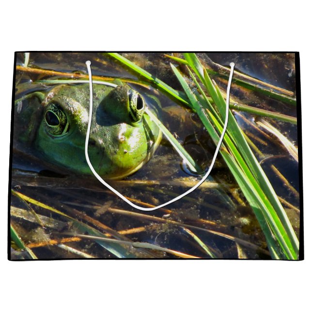 Grande Bolsa de regalo de rana (Anverso)