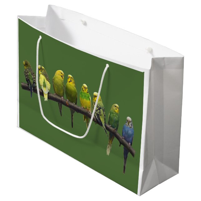 Grande Bolsa de regalo del diferente (Angulo Anverso)