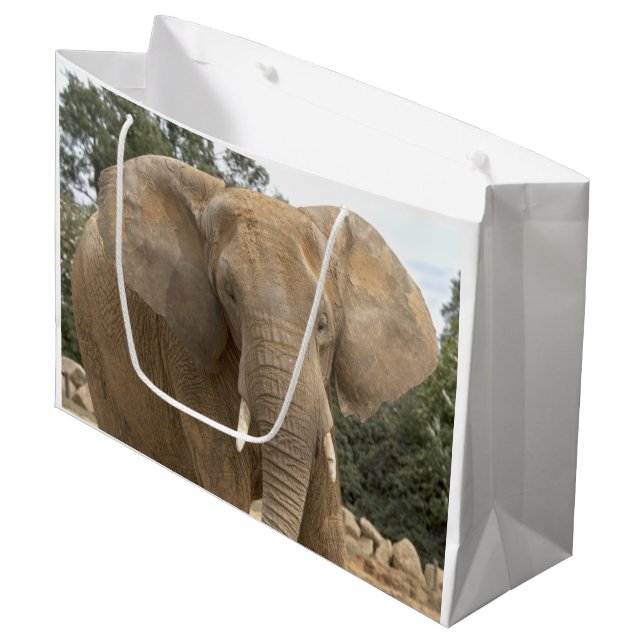 Grande Bolsa de regalo Dumbo (Angulo Anverso)