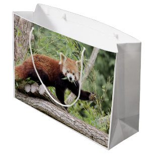 Grande Bolsa de regalo Foto panda roja , animales 0271.