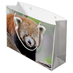 Grande Bolsa de regalo Foto panda roja , animales 0272.