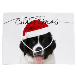 GRANDE BOLSA DE REGALO ST BERNARD PUPPY CON SANTA HAT