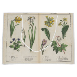 Grande Bolsa de Regalo Verde y Rosa Antiguo