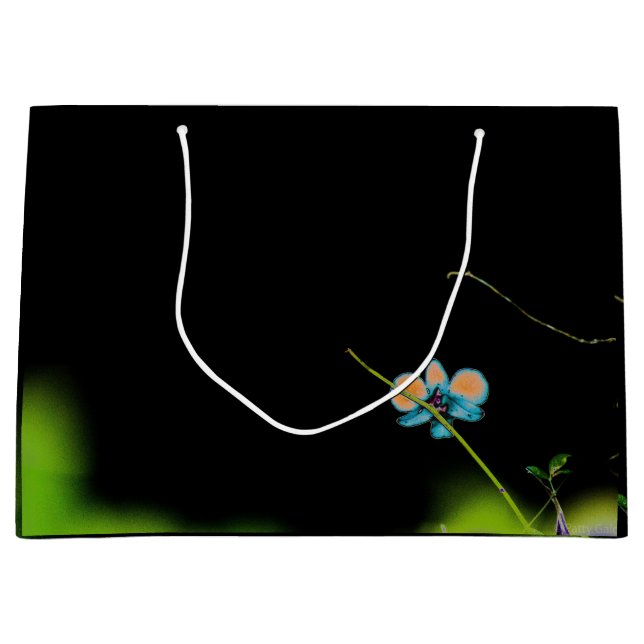Grande Una bolsa de regalo de orquídea (Anverso)