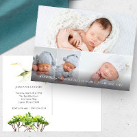 Grandes anuncios de nacimiento de Garza Blanca 4 F