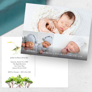 Grandes anuncios de nacimiento de Garza Blanca 4 F