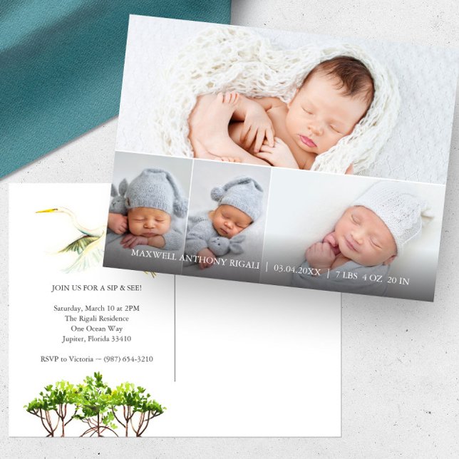Grandes anuncios de nacimiento de Garza Blanca 4 F (4 photo birth announcement sip and see florida mangroves and great white heron art Do Tell A Belle)