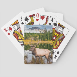 Grandes cartas de juego al aire libre